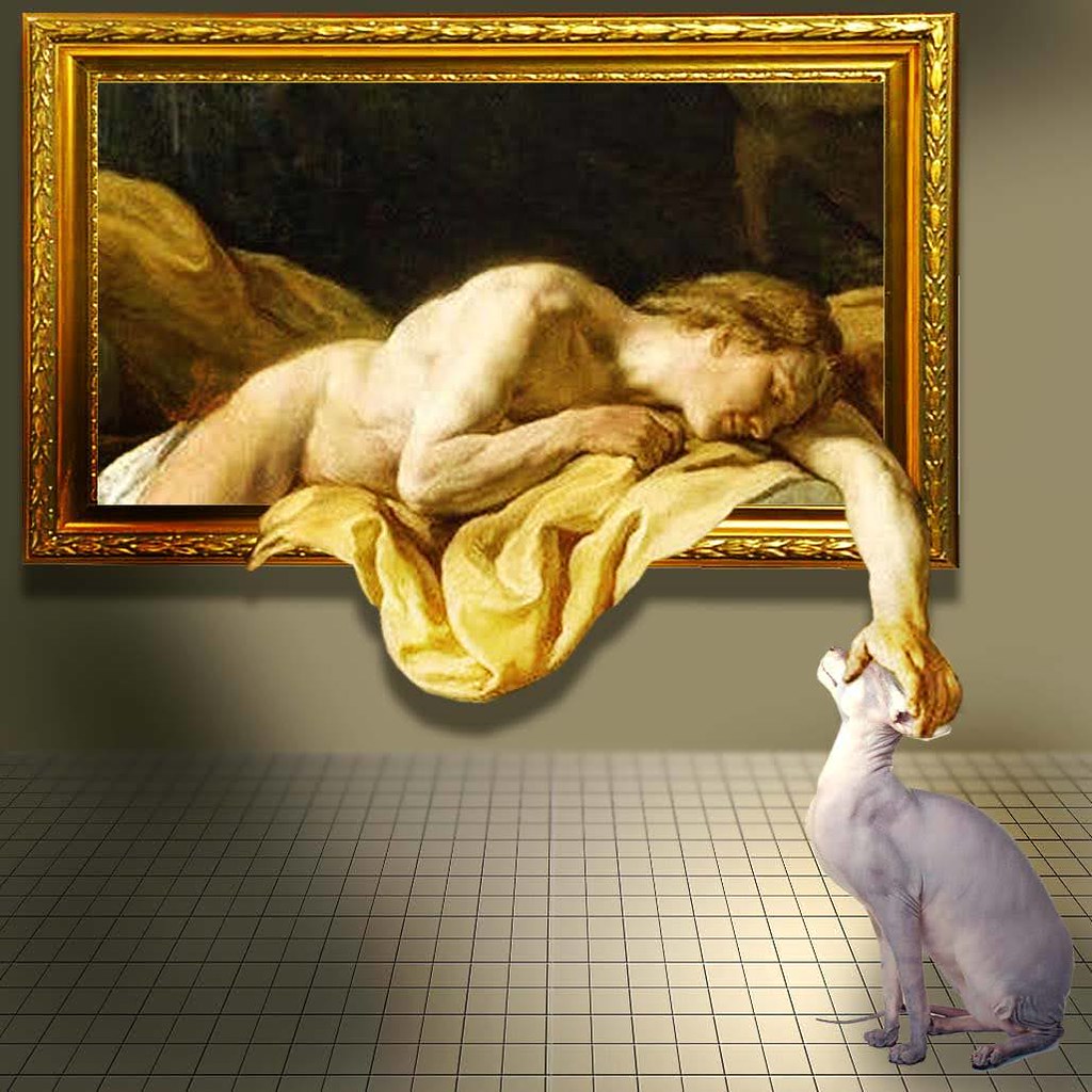 A cat, illustrating Edge Guard Strips