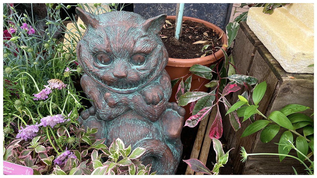 Gift Guide: Things They Will Ignore