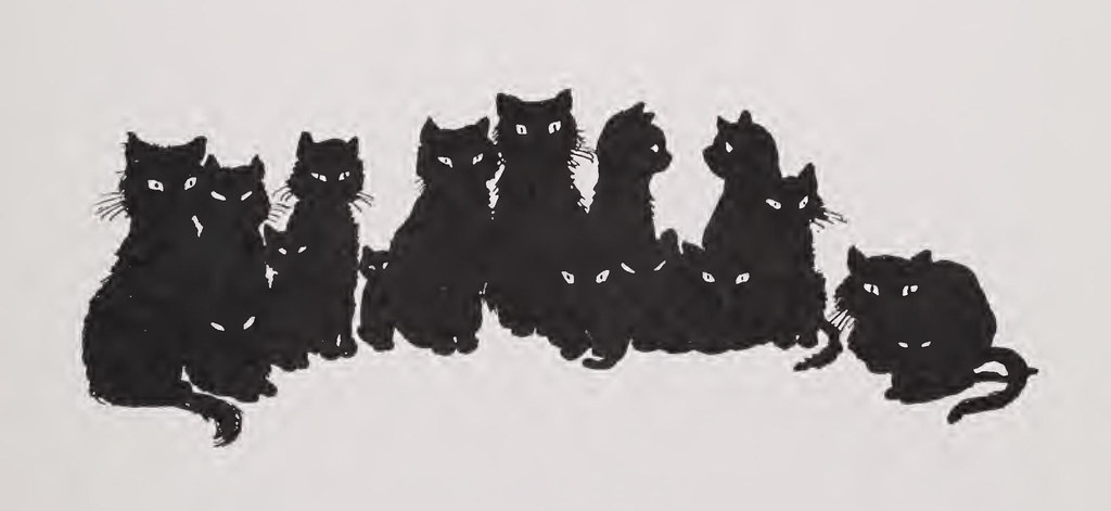 A cat, illustrating Novelty Cup Collection