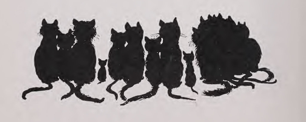 A cat, illustrating Tumbler Of Doom