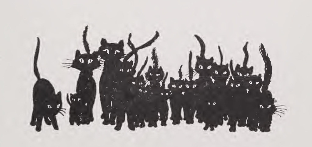 A cat, illustrating Unbreakable Test Glass